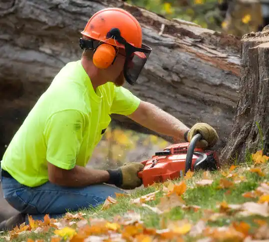 tree services Paraje